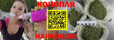 альфа пвп Новодвинск