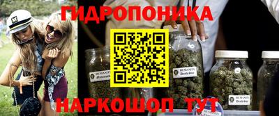 альфа пвп Новодвинск