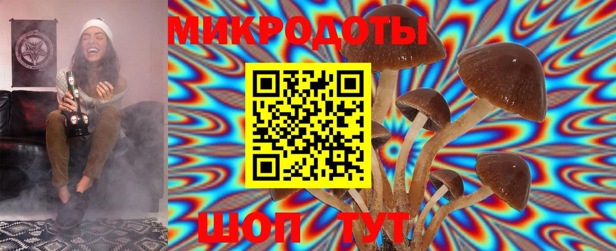 Шали  Псилоцибиновые грибы Psilocybe  Галлюциногенные грибы Psilocybe  Вход с VPN 